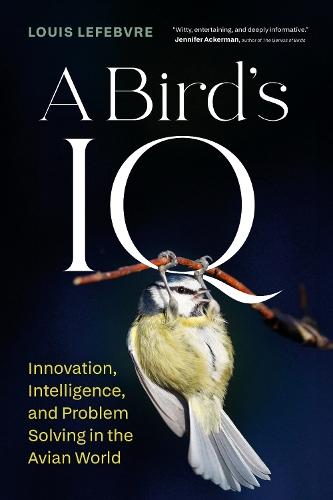 A Bird's IQ: Innovation, Intelligence, and Problem Solving in the Avian World