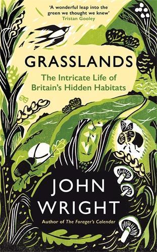 Grasslands: The Intricate Life of Britain's Hidden Habitats