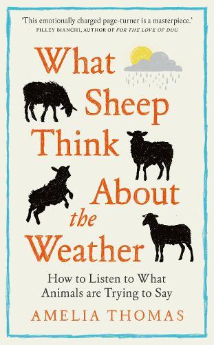 What Sheep Think About the Weather: How to listen to what animals are trying to say