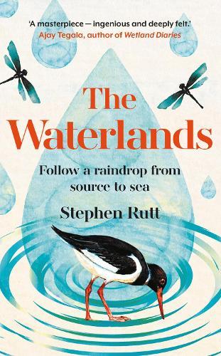The Waterlands: Follow a Raindrop from Source to Sea