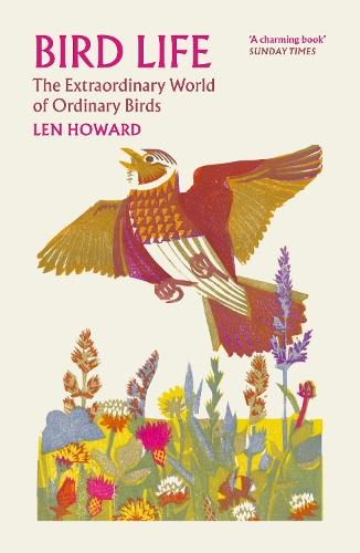 Bird Life: The Extraordinary World of Ordinary Birds
