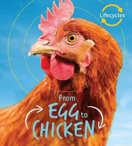 From Egg to Chicken