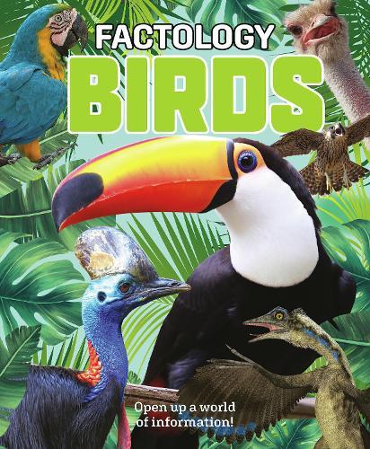 Factology: Birds: Open Up a World of Information!