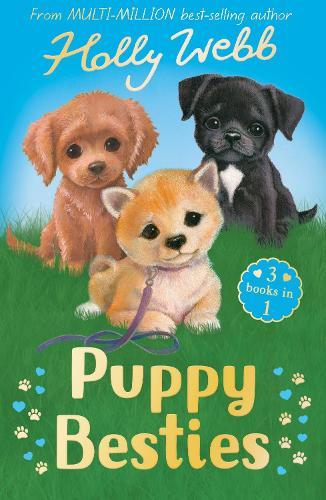 Puppy Besties: The Puppy Who Ran Away, The Puppy Who Couldn't Sleep, The Forgotten Puppy
