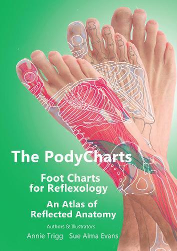 The PodyCharts foot charts for reflexology: An atlas of reflected anatomy