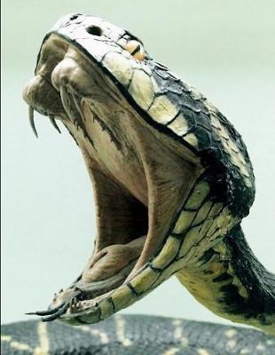 Snake Head Teeth Notebook Journal 150 Page College Ruled Pages 8.5 X 11