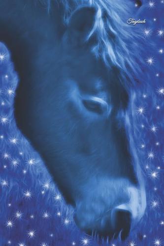Tagebuch: Tagebuch Fur Madchen Pony Pferd Blau Geheimnis Reiten Reitsport Pferdeliebhaber Notizen Pferdetraum Pferde Pferderassen