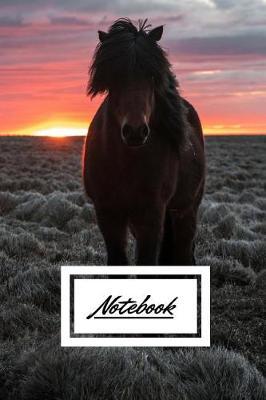 Notebook: A Wide Ruled Notebook, Journal