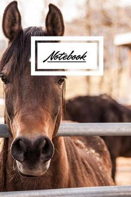 Notebook: A Wide Ruled Notebook, Journal