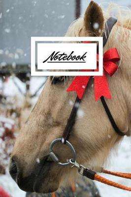 Notebook: A Wide Ruled Notebook, Journal