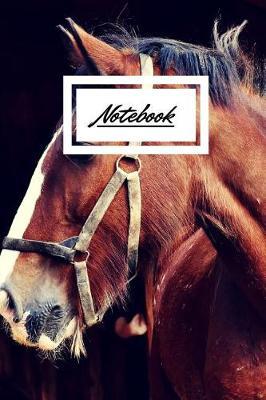 Notebook: A Wide Ruled Notebook, Journal