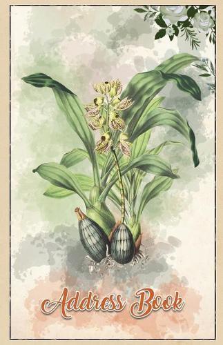 Address Book: Large Print Orchids 5.5 X 8.5 Organize Addresses, Phone Numbers, Emails - Great Gift for Gardeners and Orchid Flowers Lovers