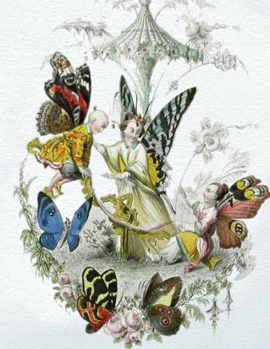 Sketchbook: Large Sketchbook, Vintage Butterfly and Fairy Cover, 120 Pages, 8.5 by 11