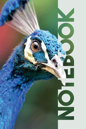 Notebook: Peacock Sound Stylish Composition Book for Fans of Indian Peafowl