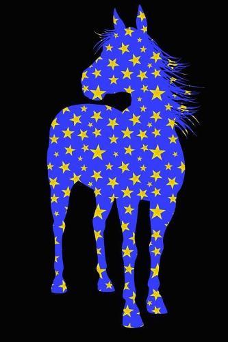 Composition Book: College Ruled Notebook Composition Book Diary Blue Horse on Black Cover