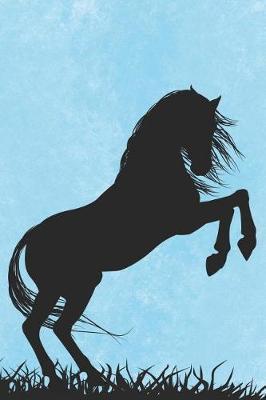 Composition Book: College Ruled Notebook Composition Book Diary Letter