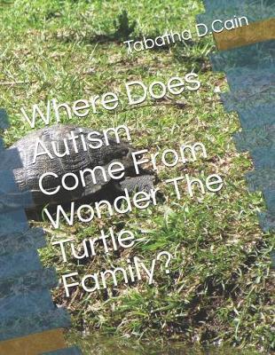 Where Does Autism Come From Wonder The Turtle Family?