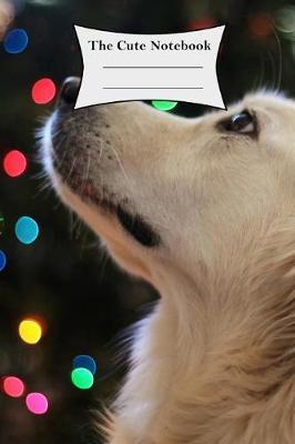 Cute Notebook: Composition Notebook - 120 Pages Lined Notebook - Golden Retriever Style (6 X 9)