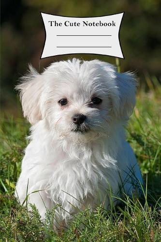 Cute Notebook: 120 Page College Ruled Composition Notebook for Girls - Maltese Dog Style (6 X 9)