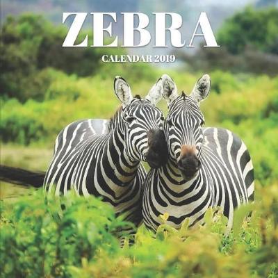 Zebra Calendar 2019: Mini Wall Calendar Animal Photography 12 Month Calendar Planner