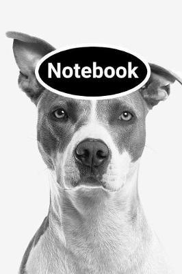 Notebook: A Wide Ruled Notebook, Journal