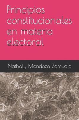 Principios Constitucionales En Materia Electoral