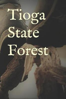 Tioga State Forest: Blank Lined Journal for Pennsylvania Camping, Hiking, Fishing, Hunting, Kayaking, and All Other Outdoor Activities