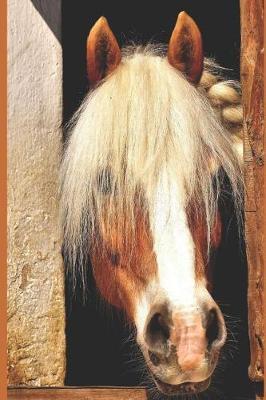 Horse Notebook and Journal: This Notebook Has a Beautiful Glossy Cover and Has Has 120 Lined Pages Which May Be Used as a Notebook, Diary or for Journalling.