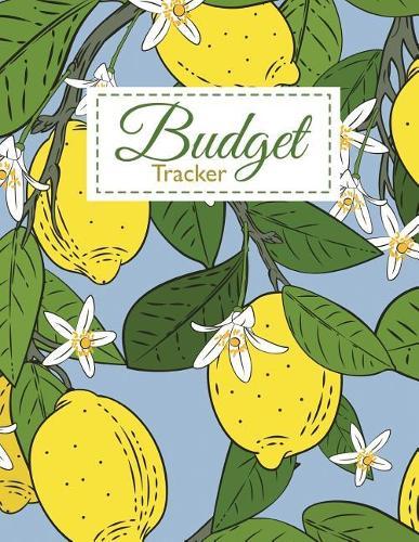 Budget Tracker: How to Take the Headache Out of Budget Tracker Lemon Design
