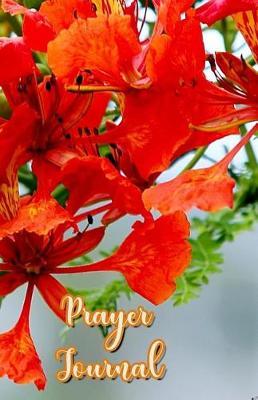 Prayer Journal: A Journey of Prayer, Praise and Gratitude - Weekly Gratitude Journal Template, Notebook for Teens, Gratitude Books for Adults, Spiritual Goals List Worksheet