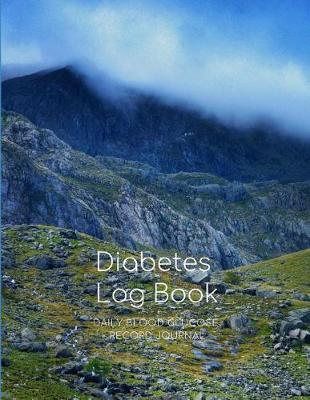 2 Year Large Diabetes Log Book Journal: Blood Glucose Log Book; Daily Record Book for Blood Sugar Monitoring; Diabetic Health Journal with Weekly Reviews; Medical Organizer & Logbook for 2 Years