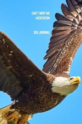 Can't Hurt Me Meditation 365 Journal