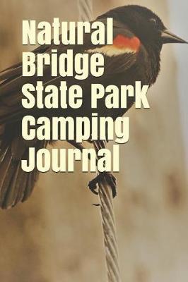 Natural Bridge State Park Camping Journal: Blank Lined Journal for Wisconsin Camping, Hiking, Fishing, Hunting, Kayaking, and All Other Outdoor Activities