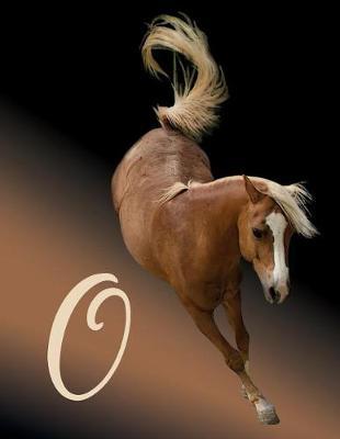 Horse Initial 'o' Monogram Notebook: Custom Blank Lined Journal Personalized for Names Starting with Initial Letter O (Jotter, Notepad, Composition Book)