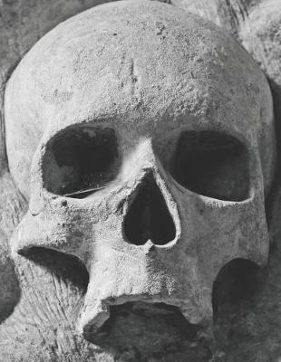 Unearthed Skull Chemistry Notebook: Small Hexagon Paper