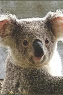 Koala Notizbuch: Blanko Malbuch / Zeichenbuch / Notizbuch Ohne Zeilen Mit Panda Bild ALS Motiv - 120 Seiten