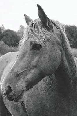 Wild Horse in Pasture Portable Notebook