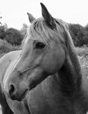 Wild Horse in Pasture Chemistry Notebook: Large Hexagon Paper