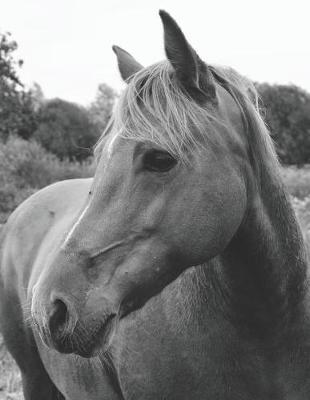 Wild Horse in Pasture Blank Sheet Music: For Musicians, Songwriters, & Composers