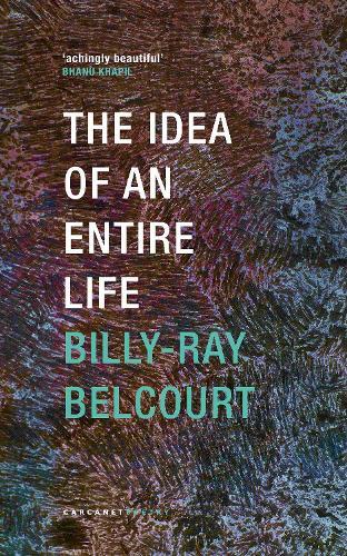 The Idea of an Entire Life