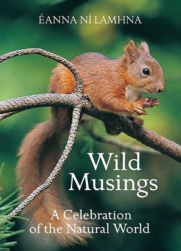 Wild Musings: A Celebration of the Natural World