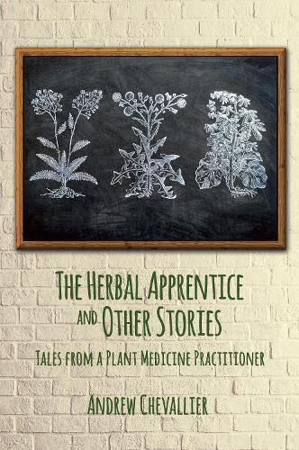 The Herbal Apprentice and Other Stories: Tales from a Plant Medicine Practitioner
