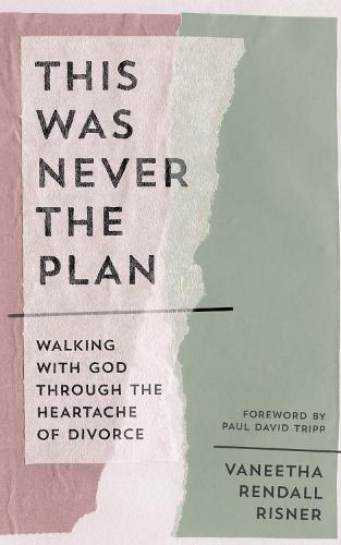 This Was Never the Plan: Walking with God Through the Heartache of Divorce