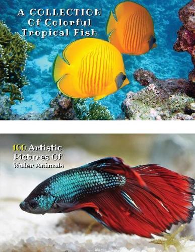 A Collection of Colorful Tropical Fish - 100 Artistic Pictures of Water Animals - Full Color HD: Professional Photo Album - The Best Animal Pictures And Art Images Ideas - Paperback Version - English Language Edition