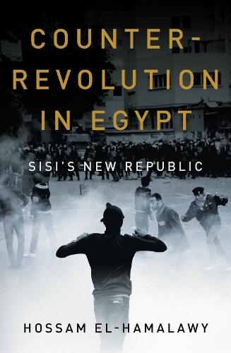 Counterrevolution in Egypt: Sisi's New Republic