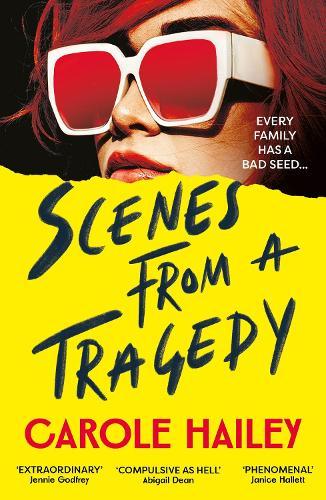 Scenes from a Tragedy: an addictive, gripping thriller from the bestselling author of The Silence Project