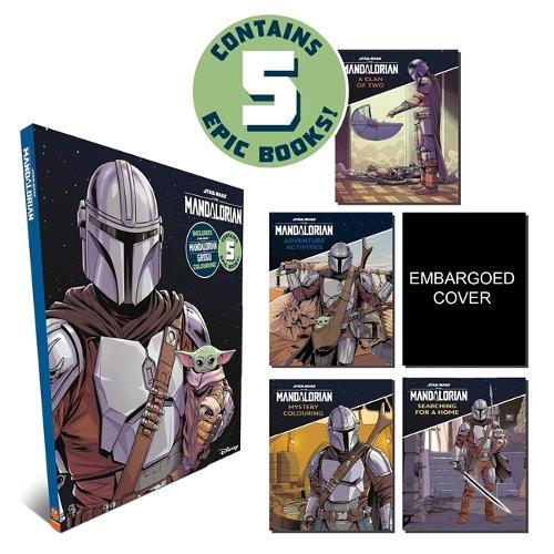 Star Wars The Mandalorian
