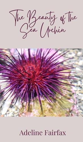 The Beauty of the Sea Urchin