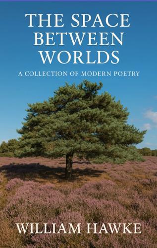 The Space Between Worlds: A collection of modern poetry
