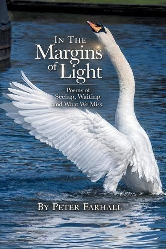 In the Margins of Light: Poems of Seeing, Waiting, and What We Miss
